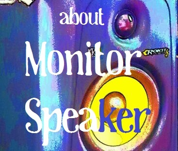 about_Moniter Speaker02